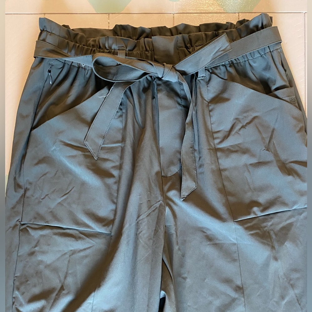 Modern Ambition Taupe Technical Pant - Never worn